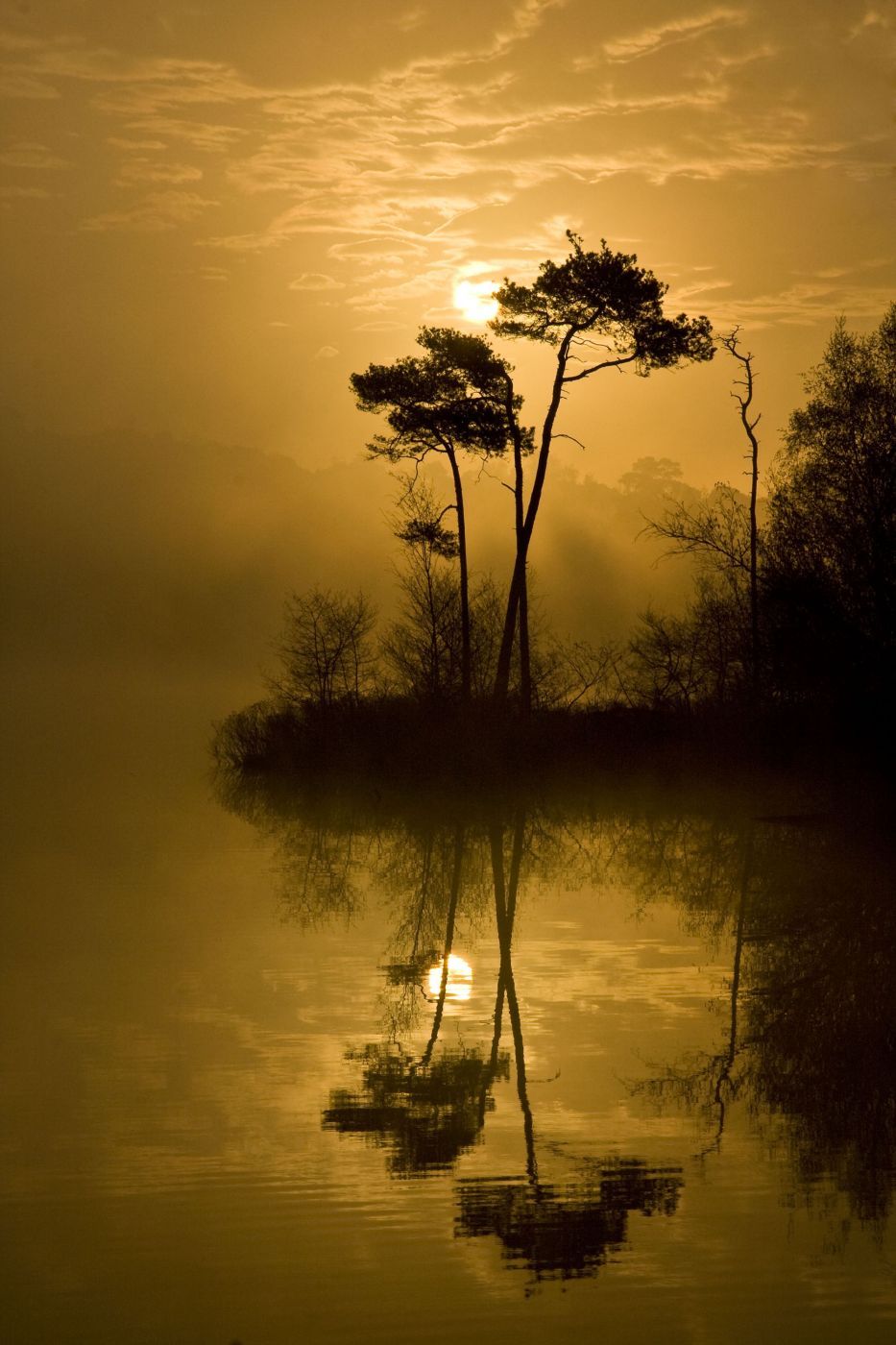 Oisterwijkse Vennen, Netherlands