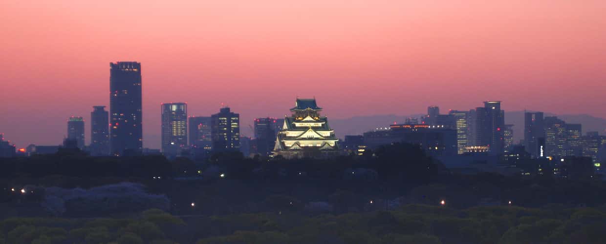 Osaka Castle View