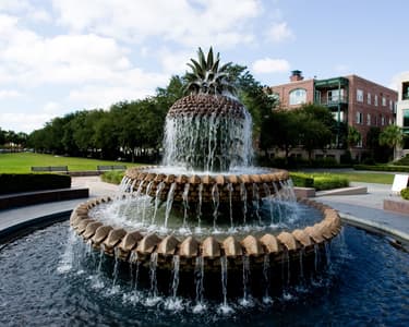 Pineapple Fountain