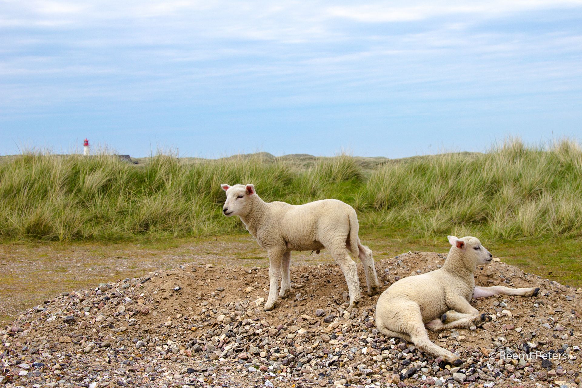 Sylt Ellenbogen, Germany