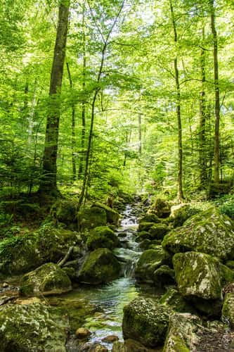 Teufelsschlucht