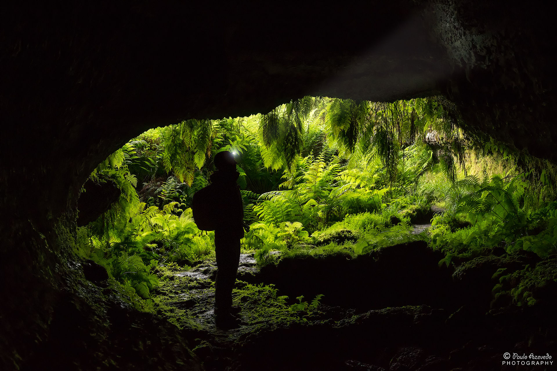 The entrance to the gnome world, Portugal
