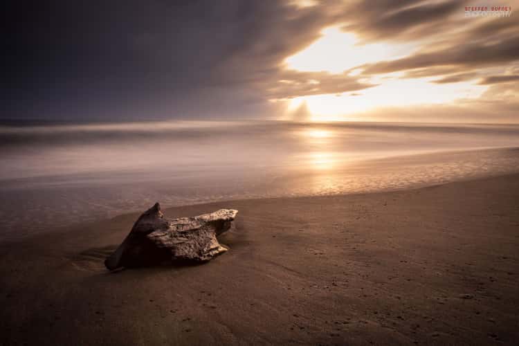 Tortuguero
