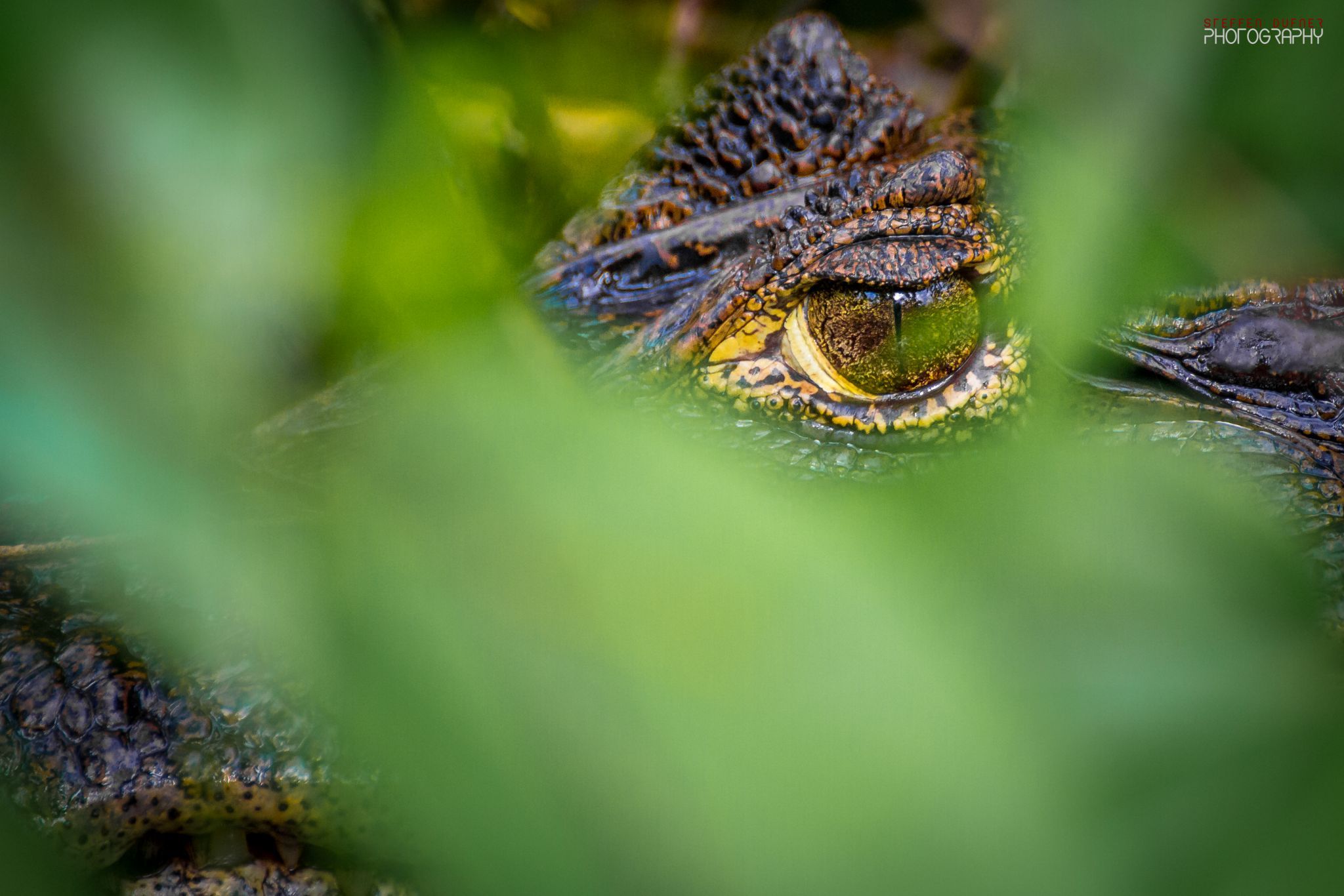 Tortuguero, Costa Rica
