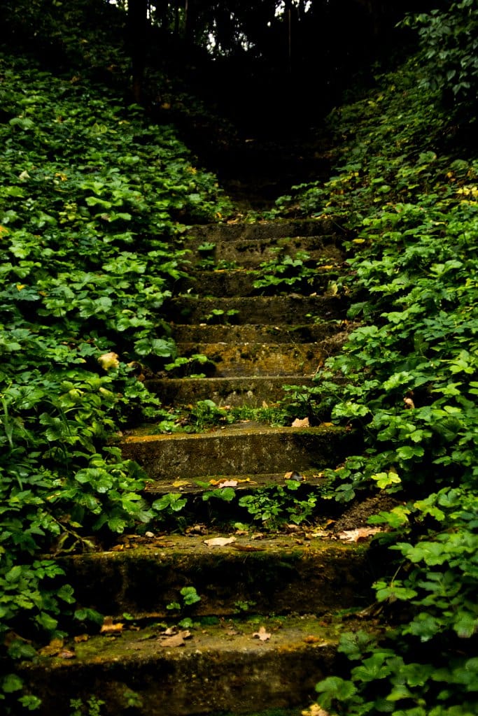 Old Stairs, Haimhausen, Germany