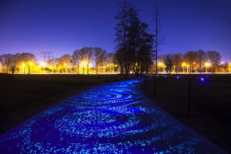 Van Gogh - Roosegaarde Cycle path