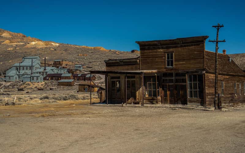 Bodie