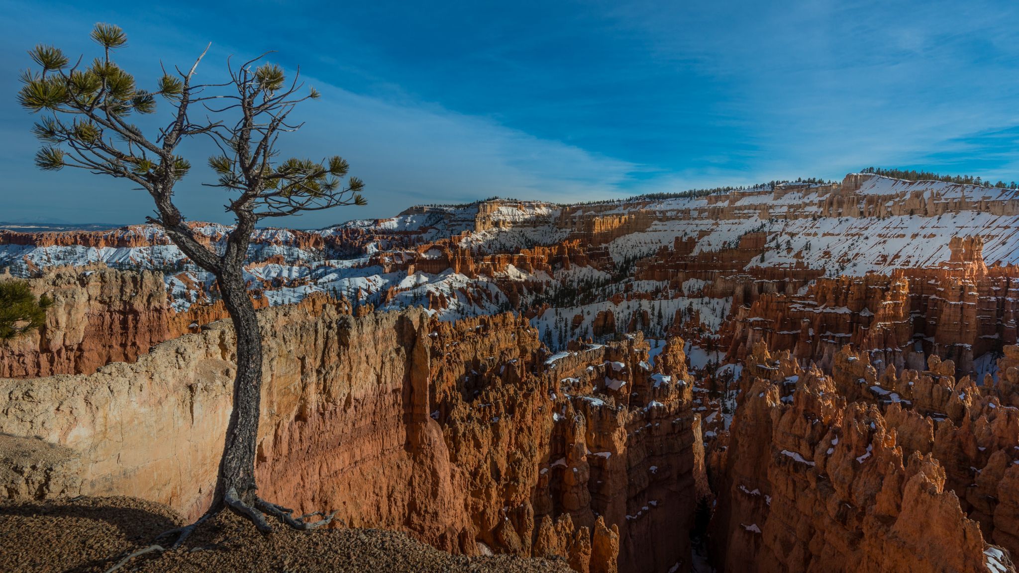 Bryce Canyon, USA