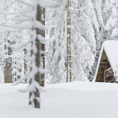 Cabin in the woods, Germany