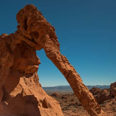 Elephant Rock, Valley of Fire State Park, Nevada, USA