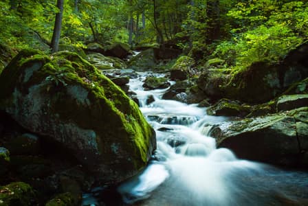 Ilsefälle, Harz