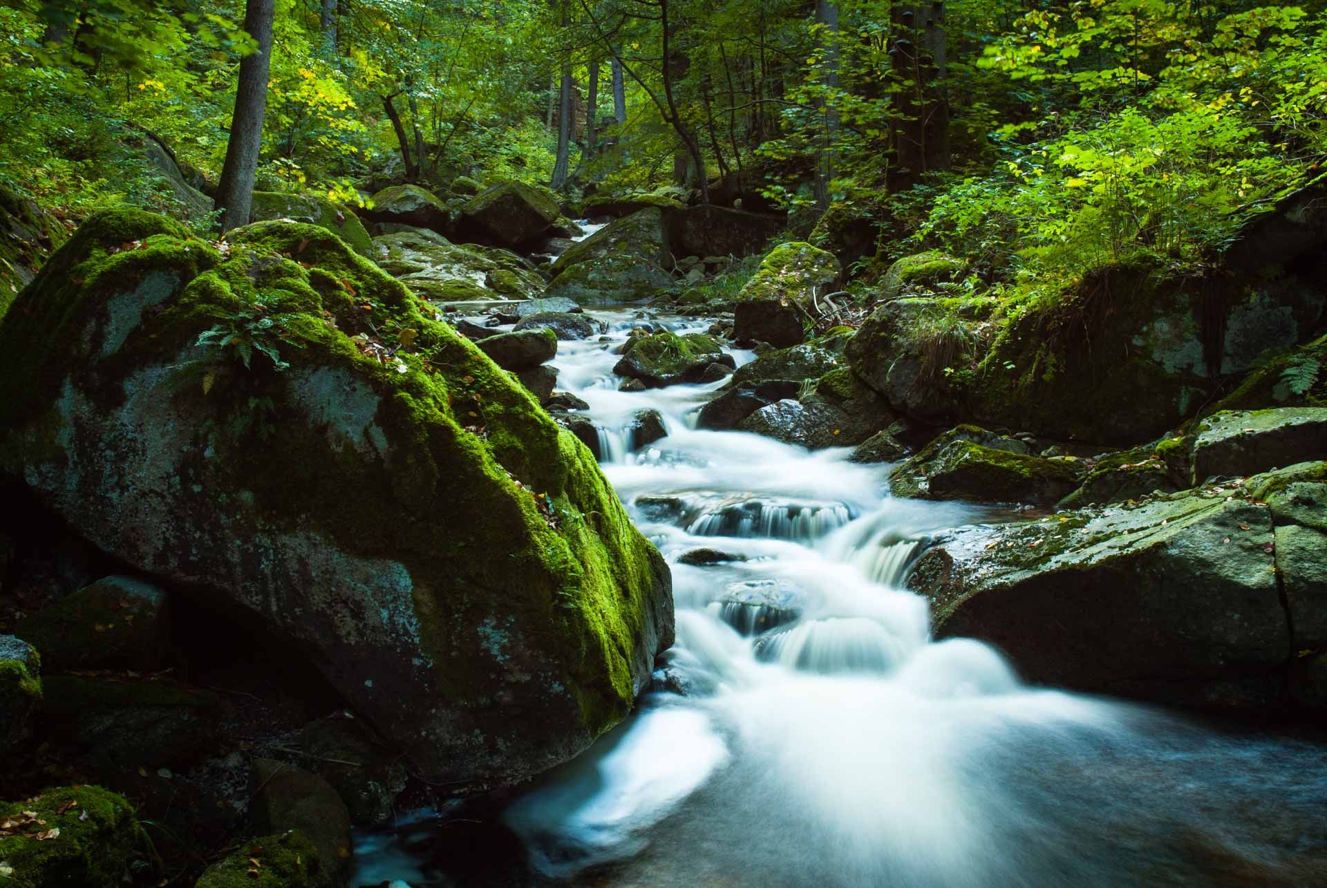 Ilsefälle, Harz, Germany