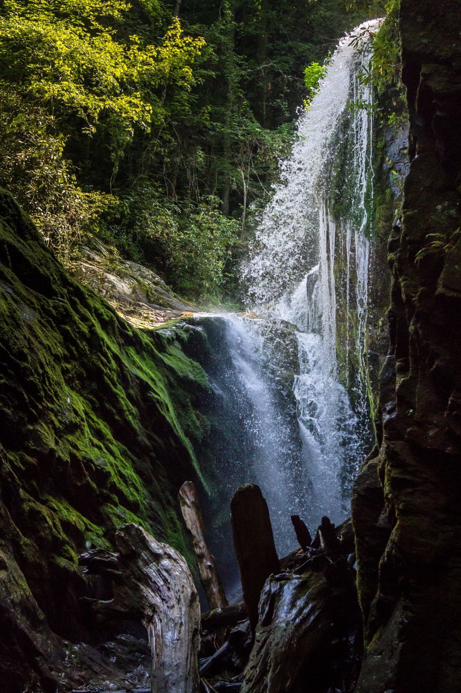 Laurel Fork Falls, USA