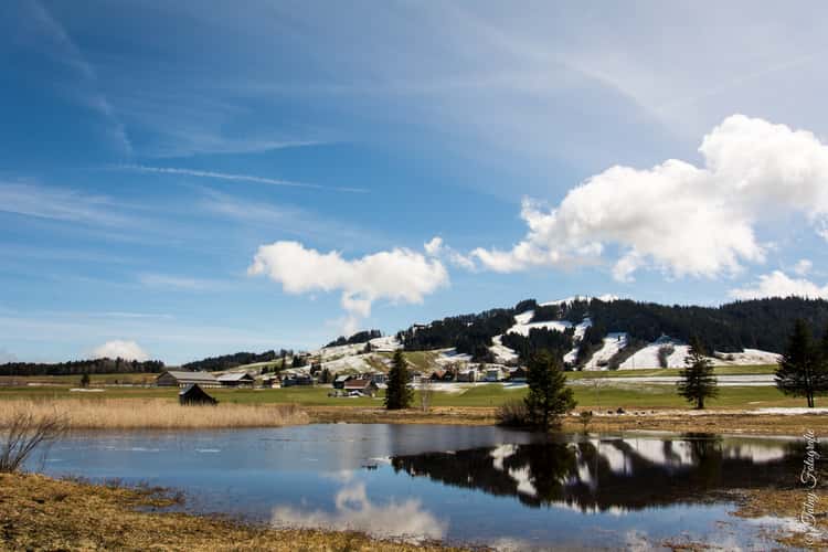 Moorlandschaft Rothenthurm