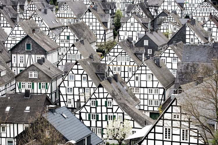'Old spot', Freudenberg