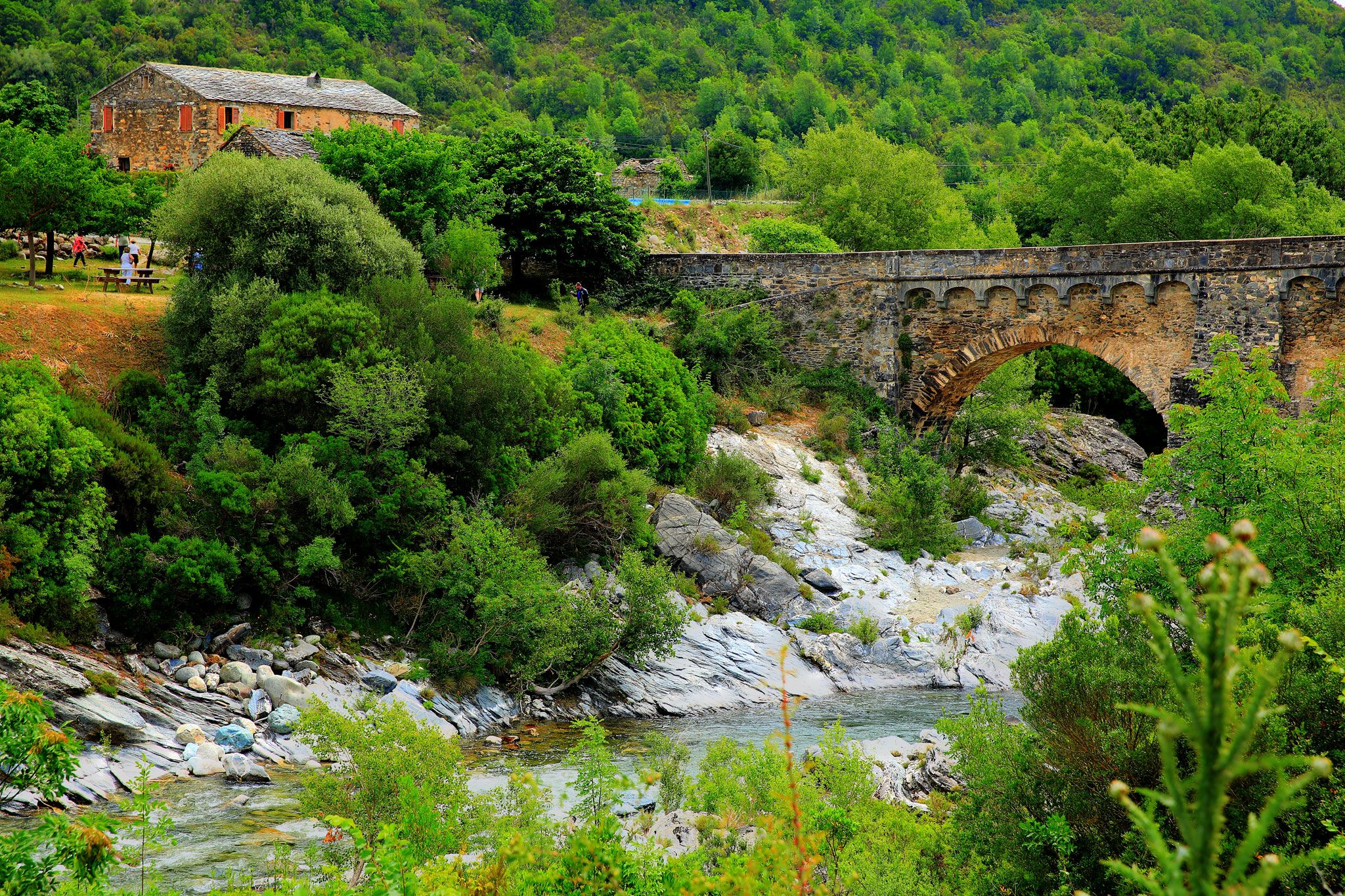Pont Genois, Corsica, France