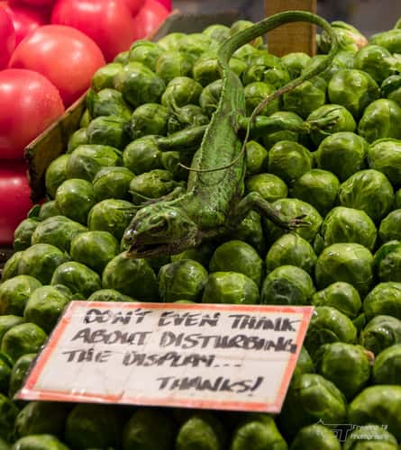 Seattle Public Market