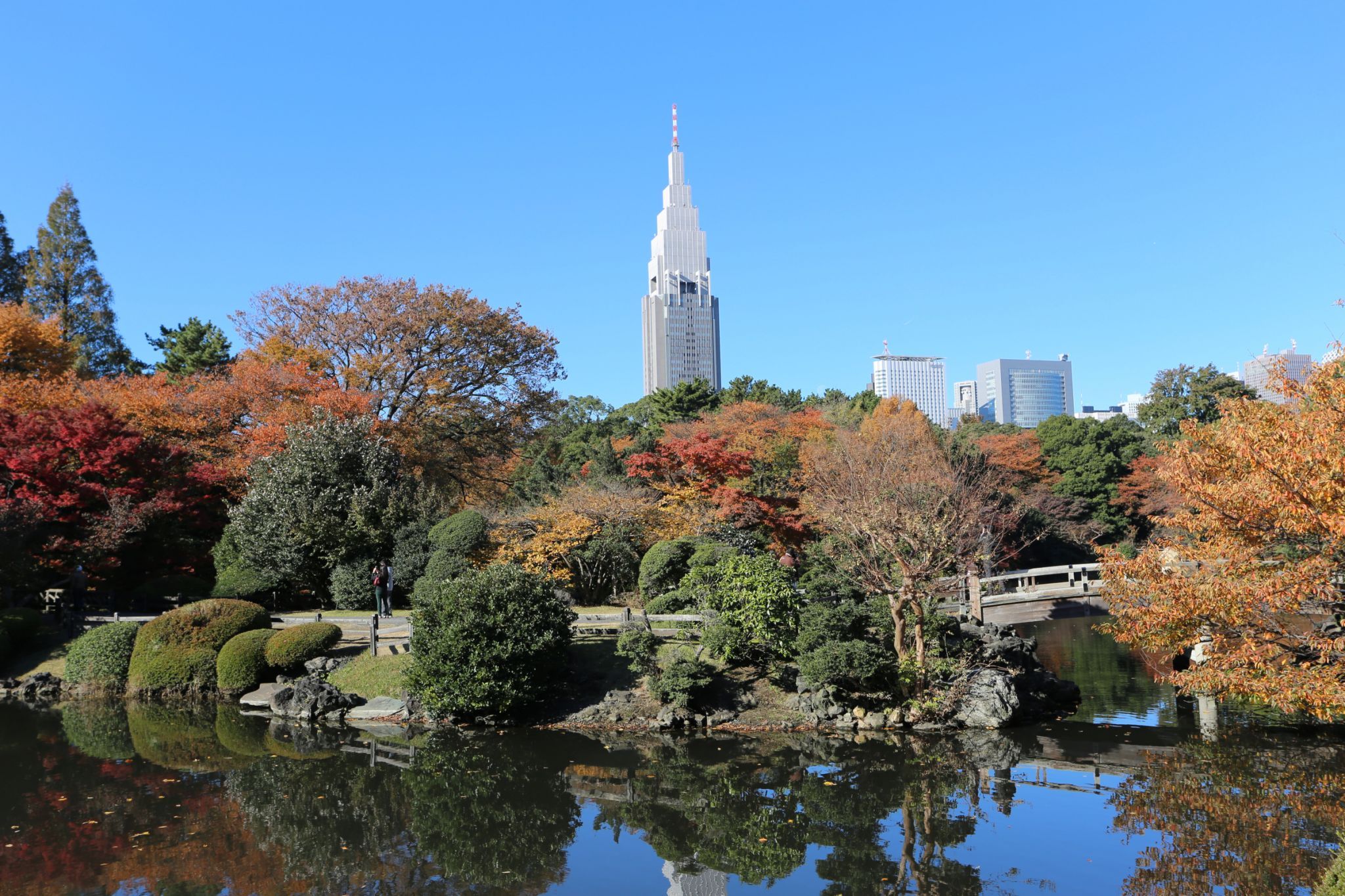 Shinjuku Gyoen Garden, Japan