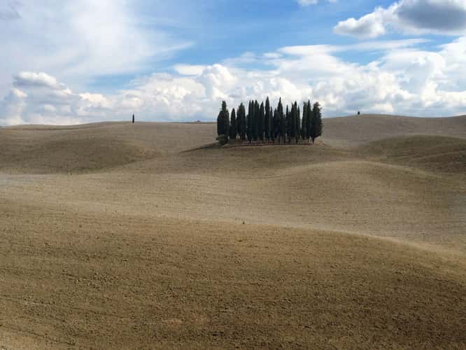 Tuscany Grove