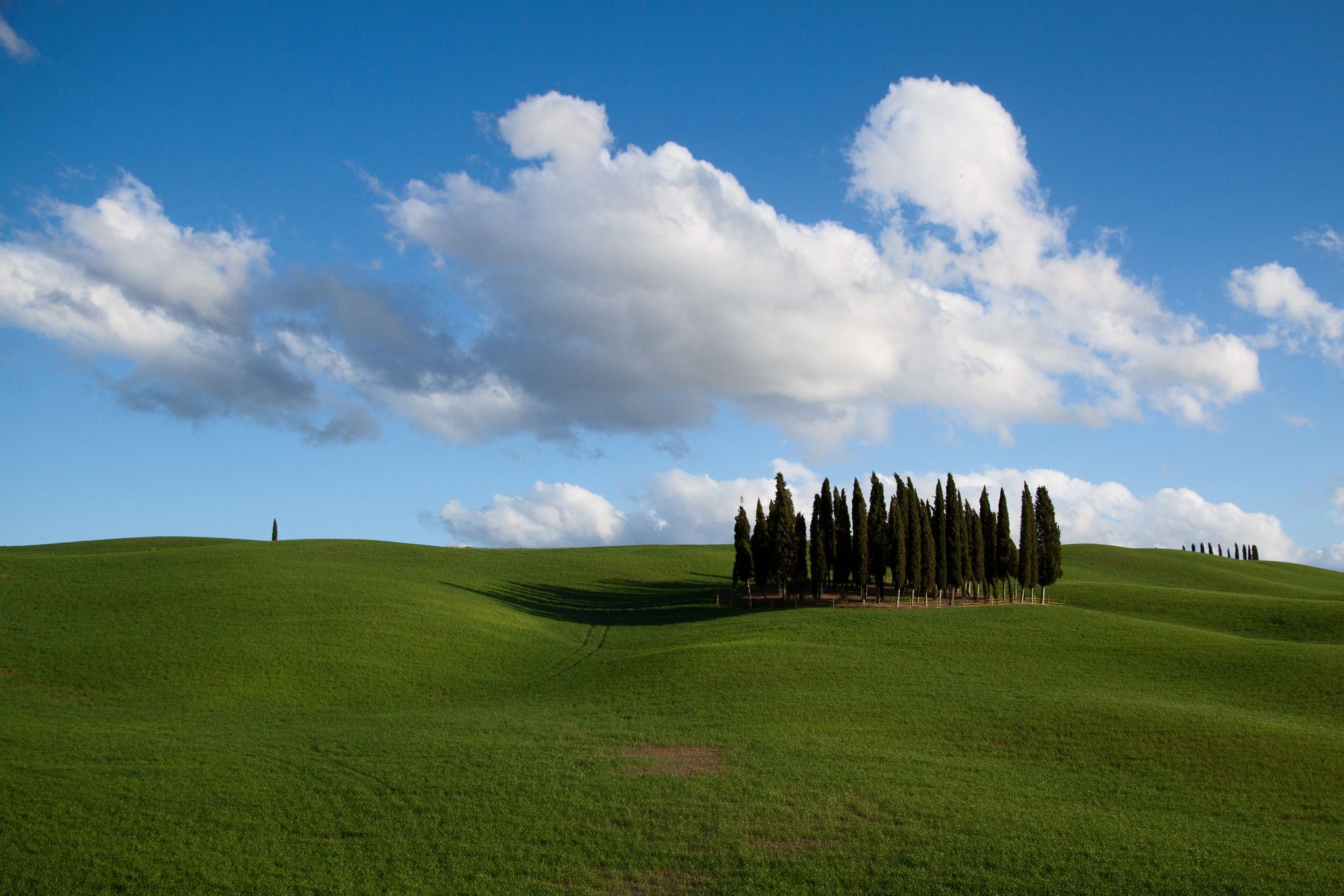 Tuscany Grove, Italy