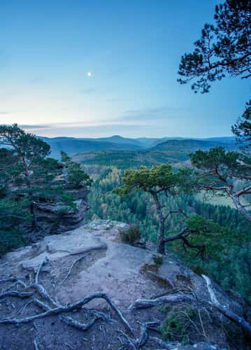 View over Pfälzerwald