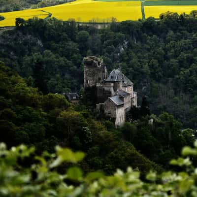 Katz Castle, Rhine River, Germany