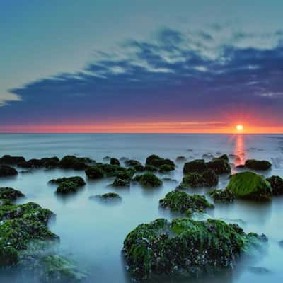 crab sunset, Netherlands