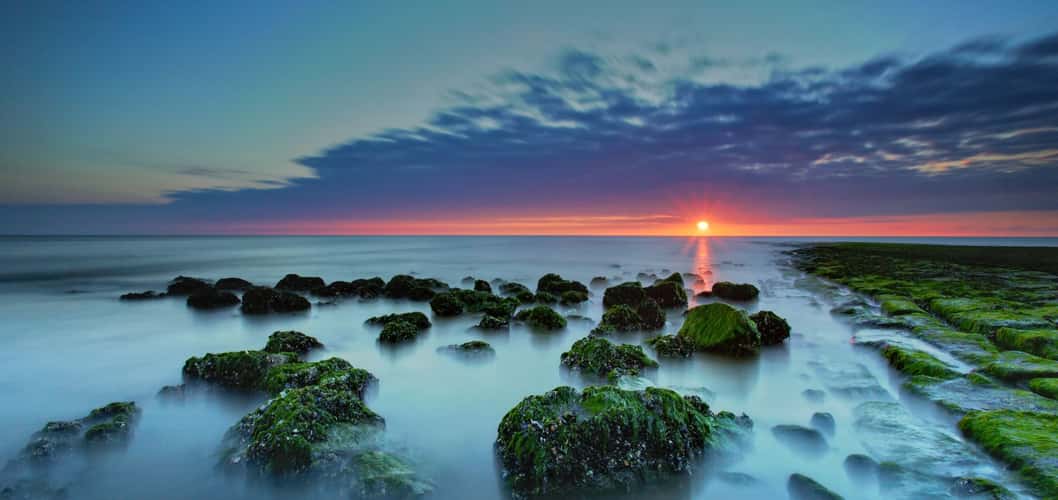 crab sunset