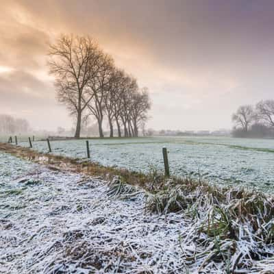 De Gavers, Belgium