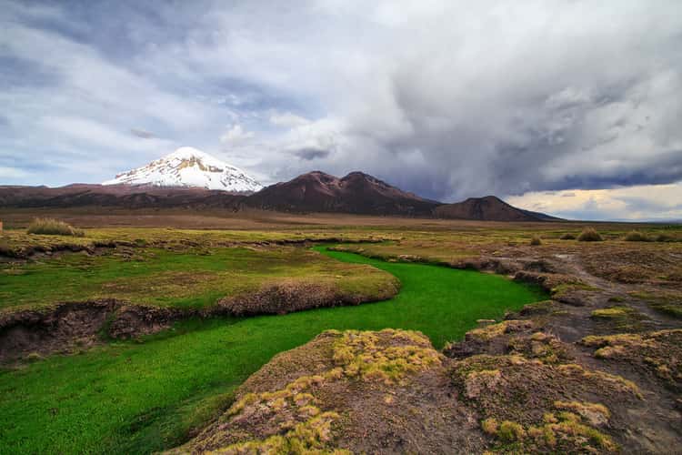 Grass River at Sajama National Park