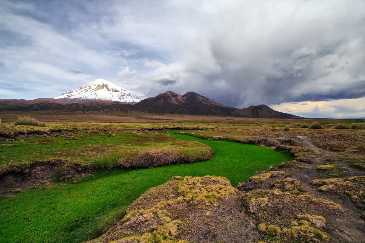 Grass River at Sajama National Park, Bolivia