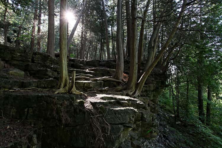 Hilton Falls, Ontario