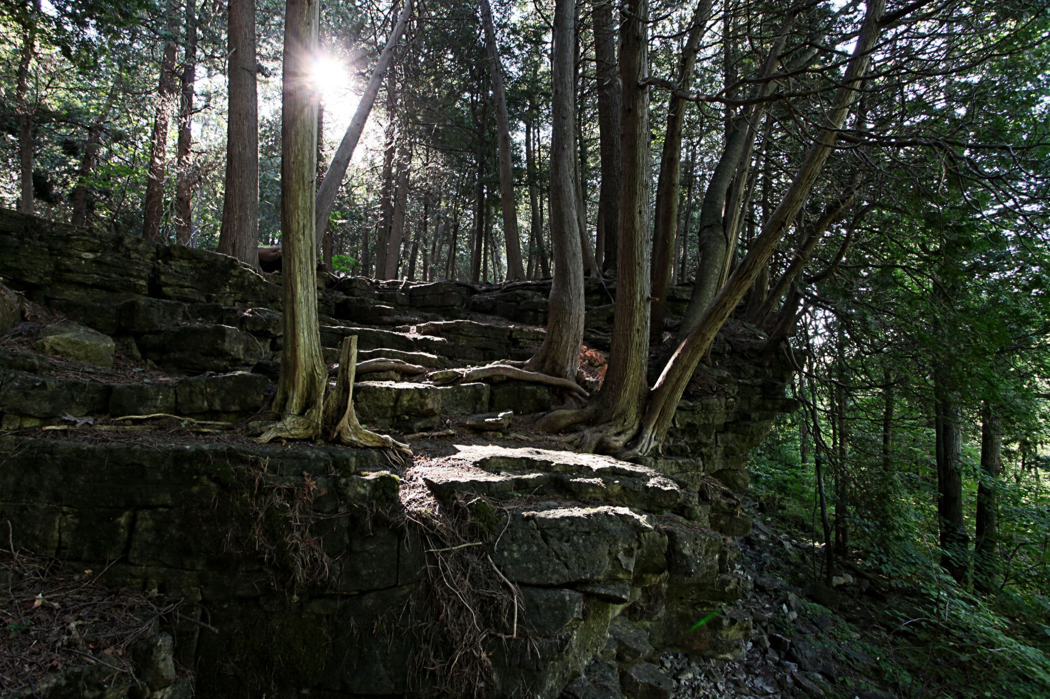 Hilton Falls, Ontario, Canada