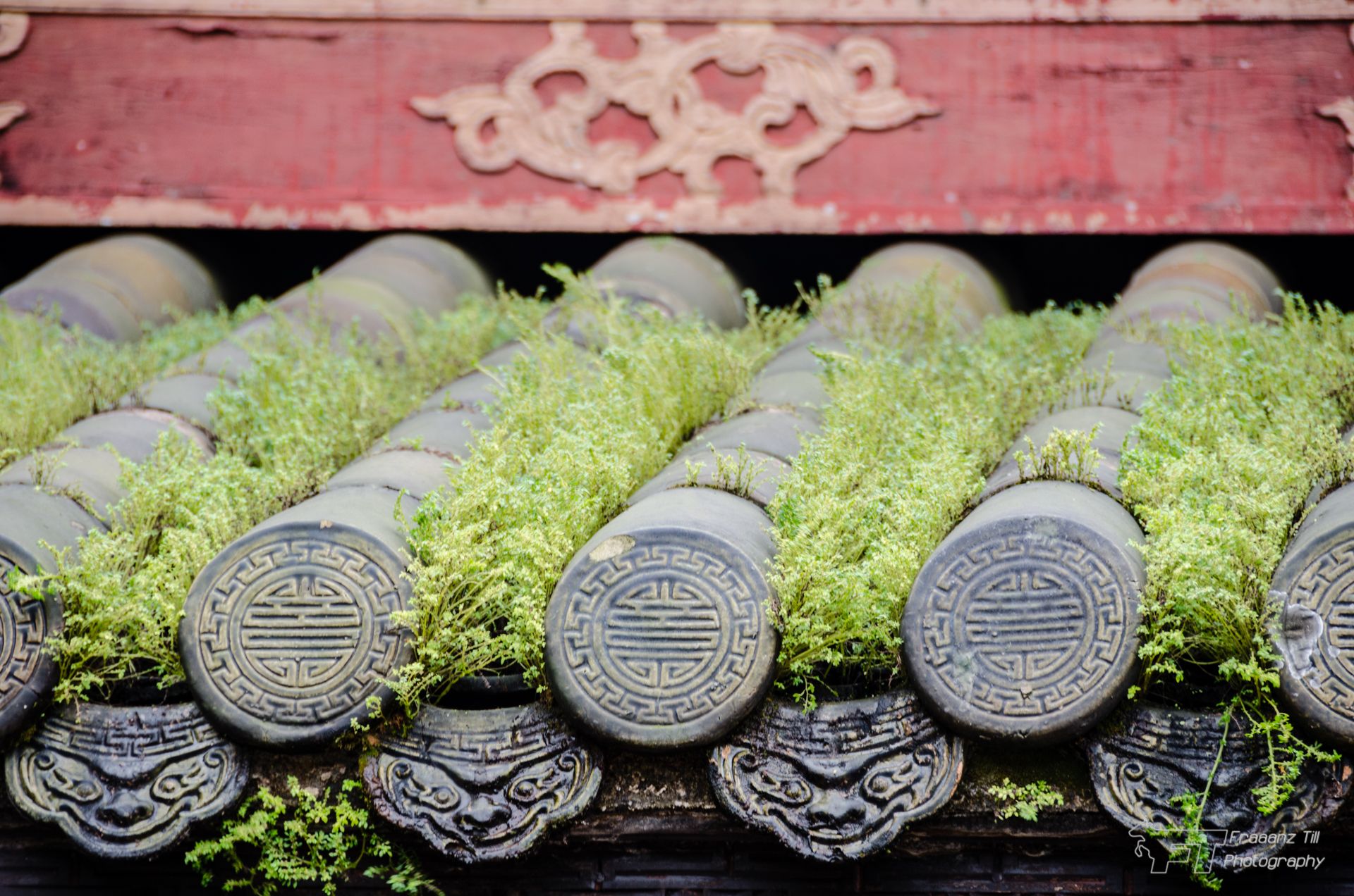 Hue Citadel, Vietnam