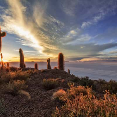 Isla del pescado, Salar de Uyuni, Bolivia