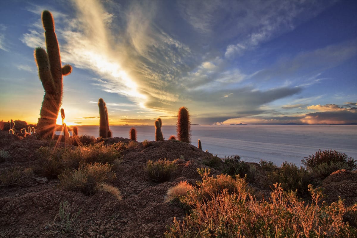 Isla del pescado, Salar de Uyuni, Bolivia