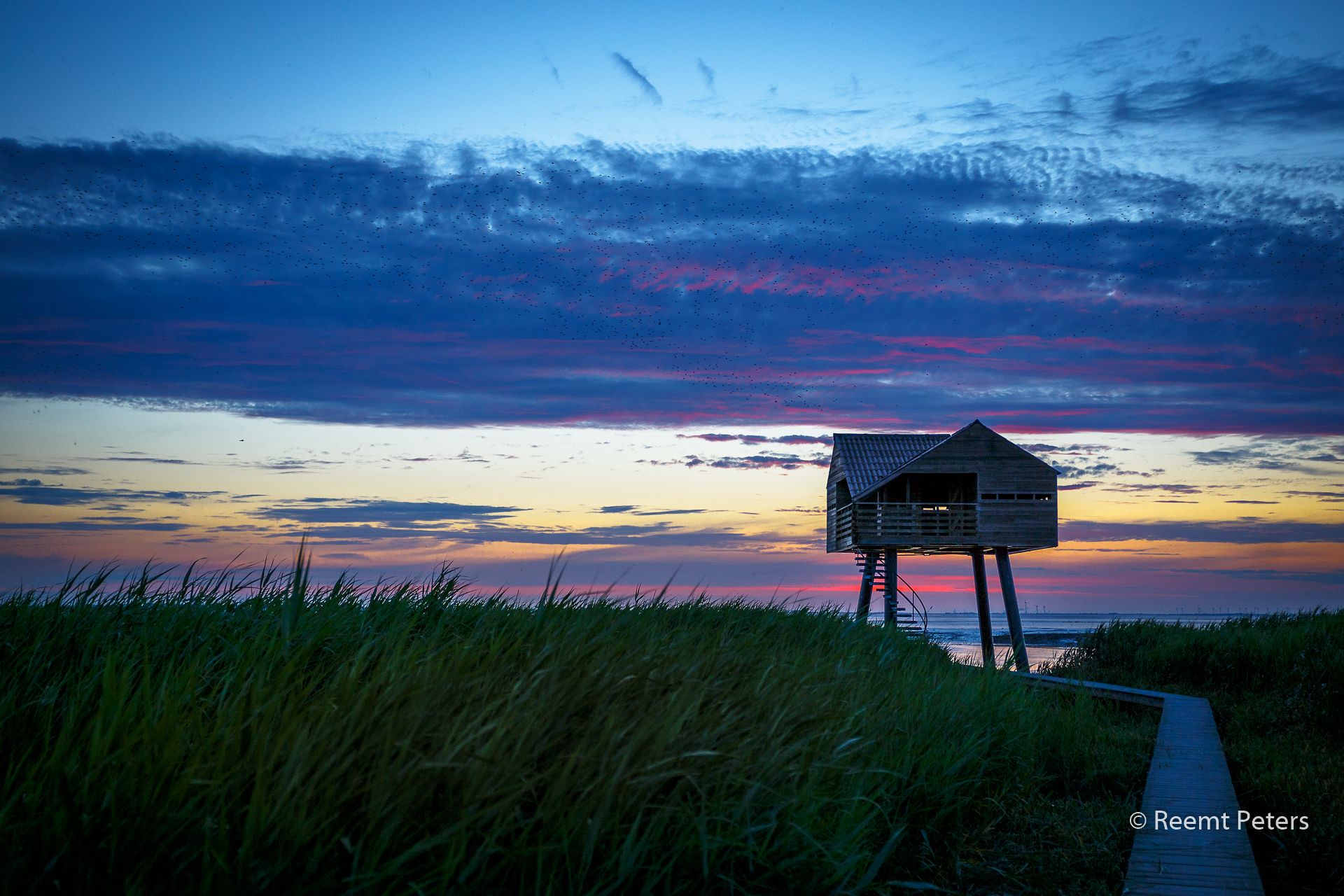 Kiekkaaste, Netherlands