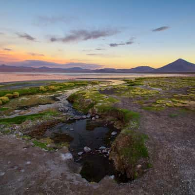 Laguna Colorada, Bolivia, Bolivia