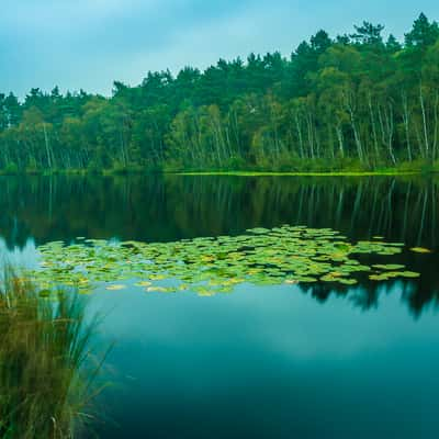 Mueritz National Park, Germany