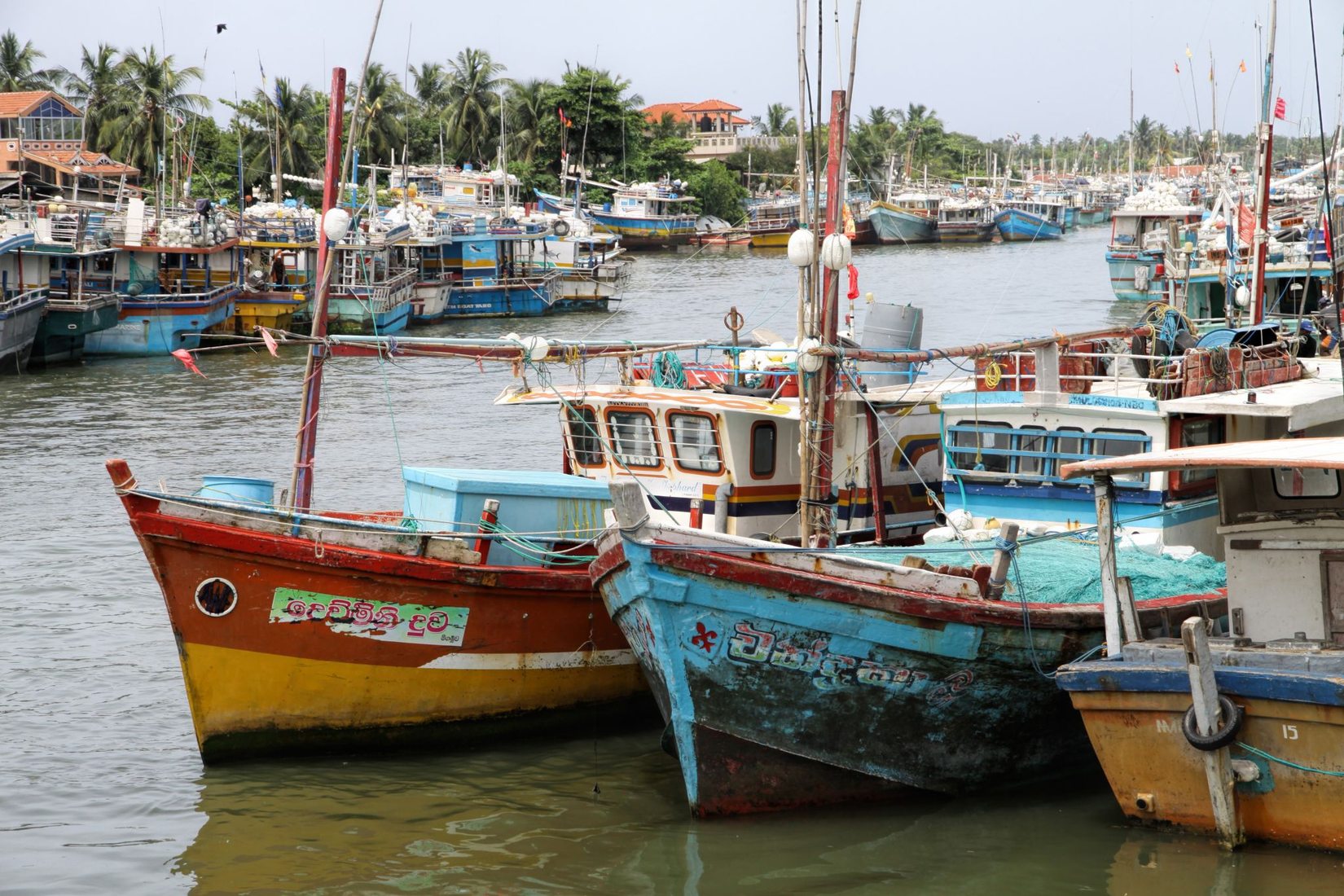 Negombo harbour, Sri Lanka