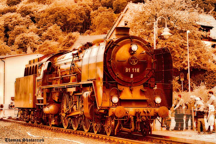 o1118