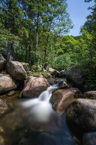 Valley Okertal