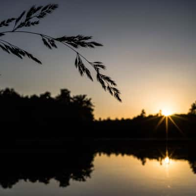 Pfaffensee, Germany