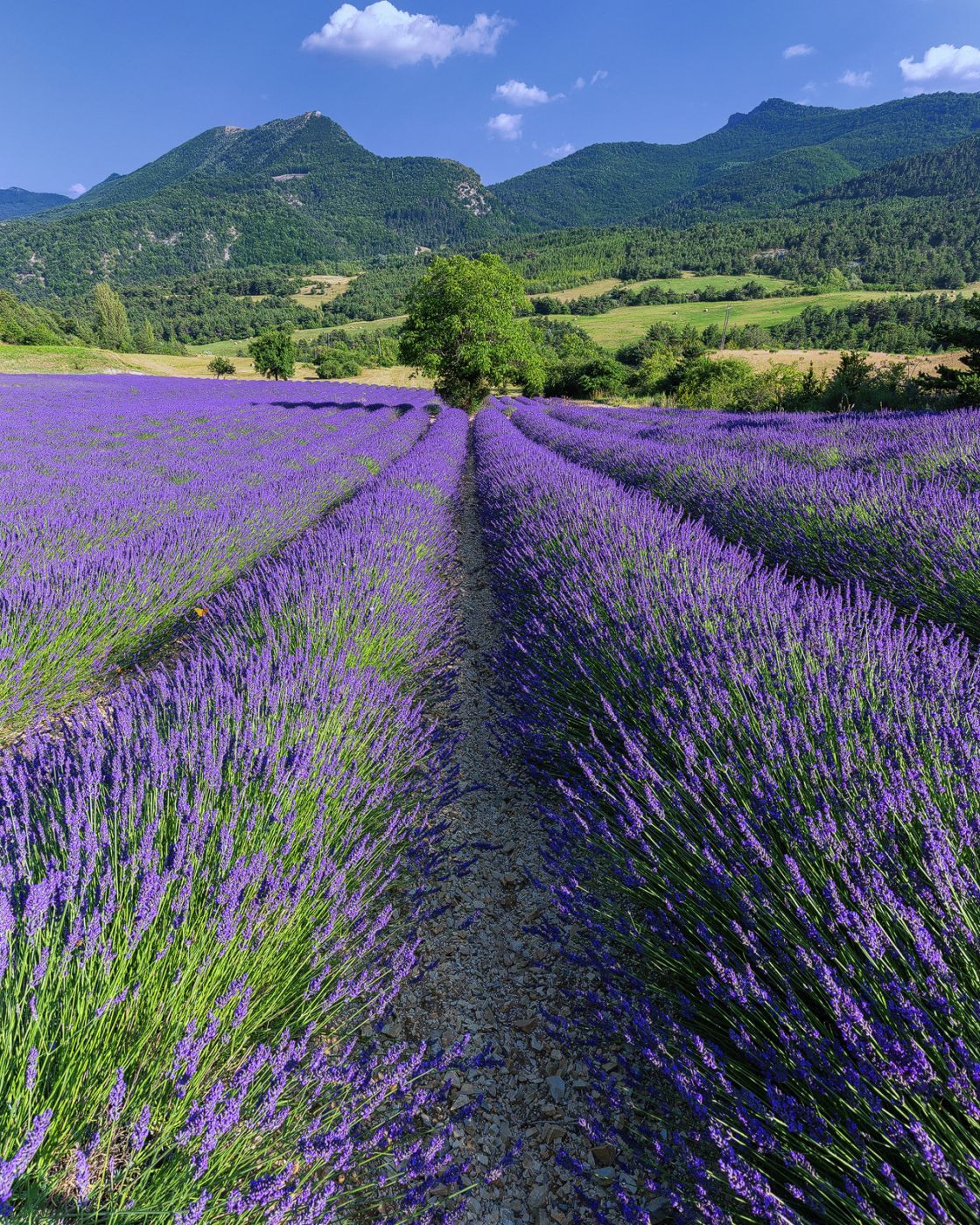 Provence, France
