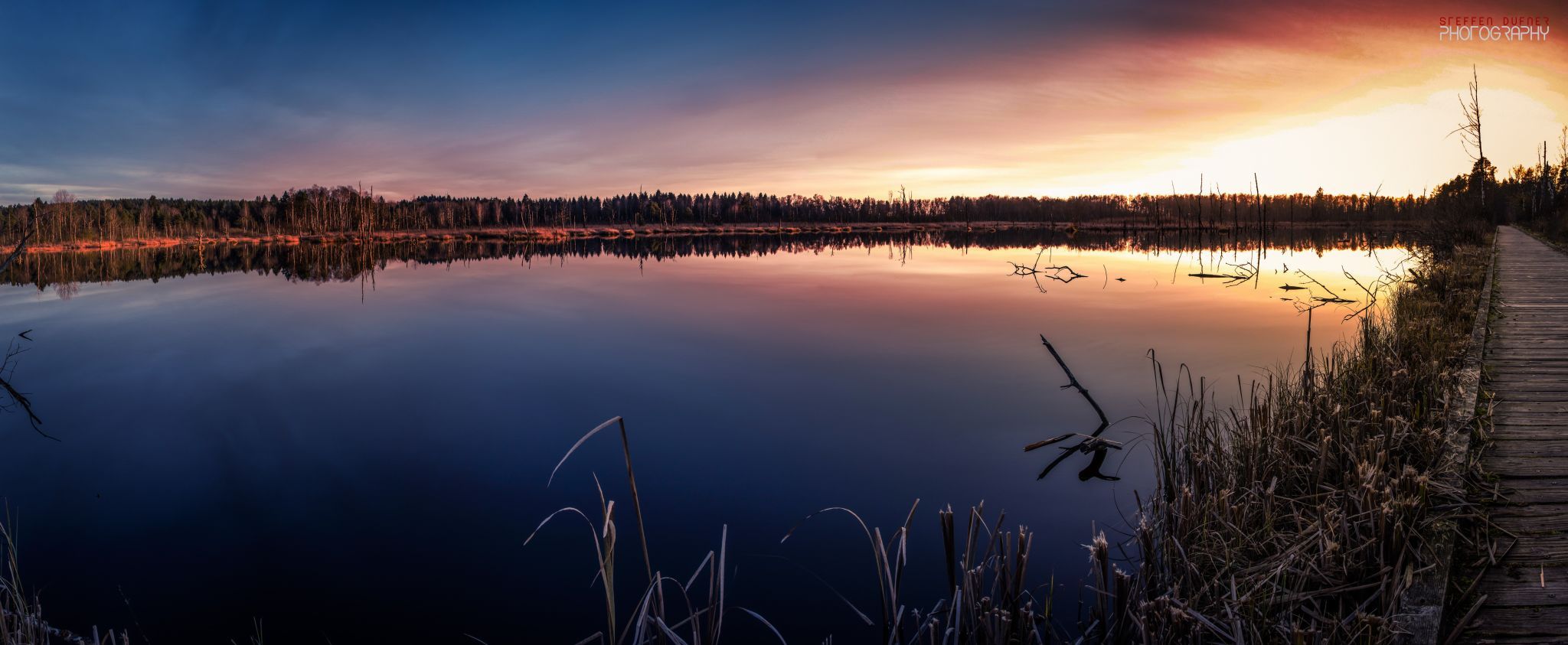 Schwenninger Moos, Germany