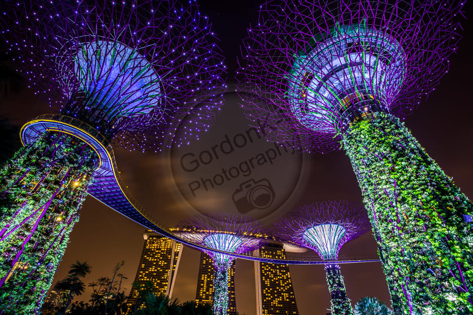 Supertree Grove - Gardens by the bay, Singapore, Singapore