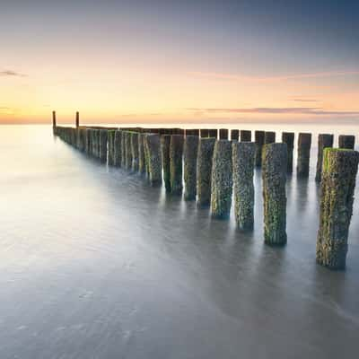 Wooden Breakwater, Domburg, Netherlands