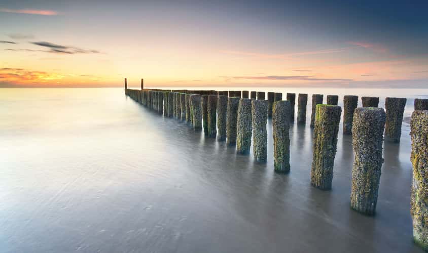Wooden Breakwater, Domburg