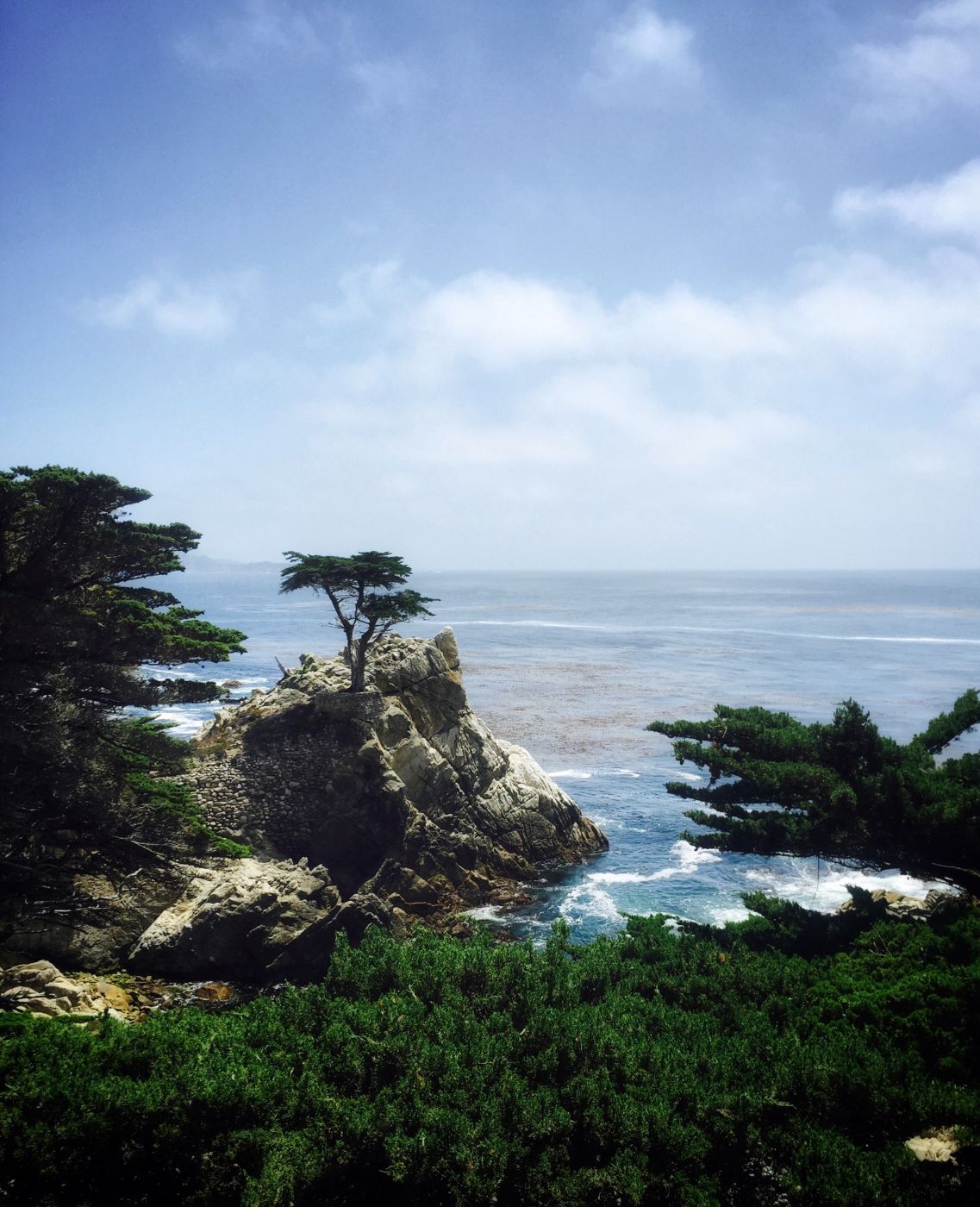 The Lone Cypress, USA