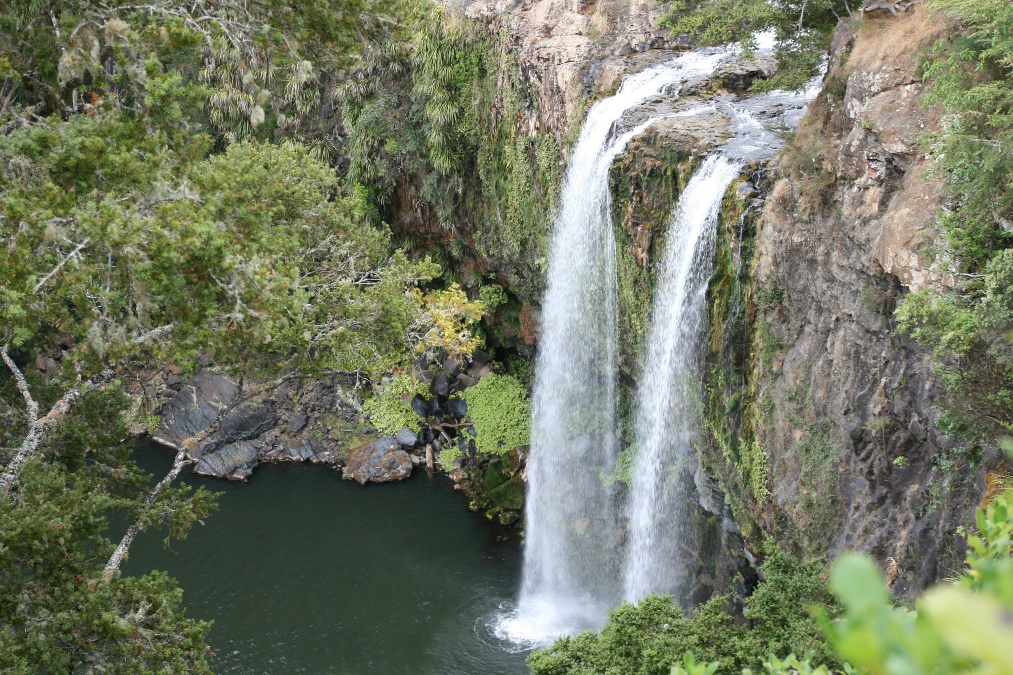 Whangarai Falls, New Zealand